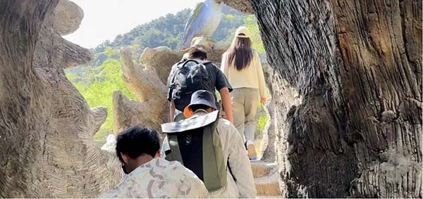 图片7.jpg 图片7.jpg